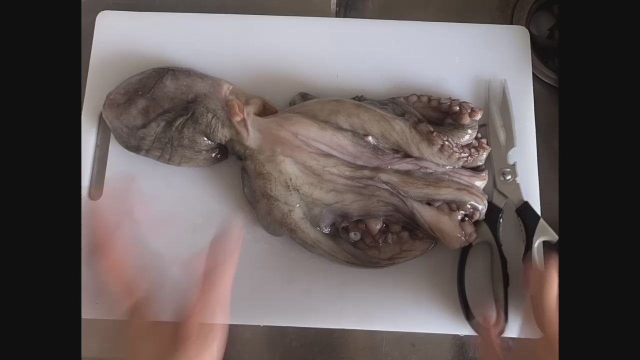 滷章魚