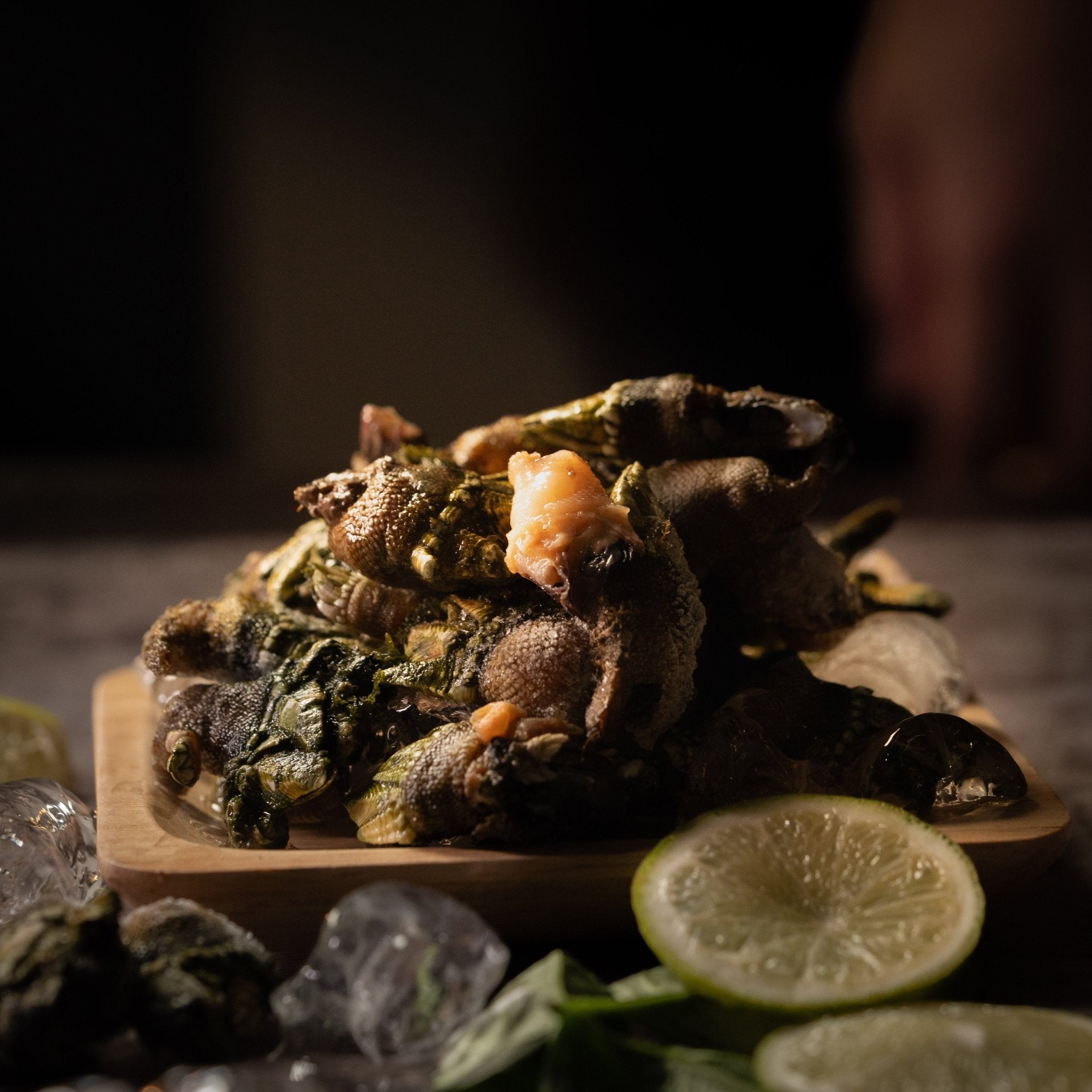 🐚【馬祖佛手】 - 海男