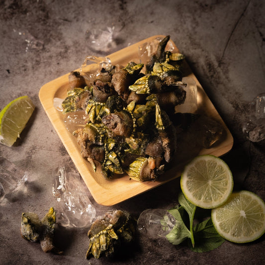 🐚【馬祖佛手】 - 海男