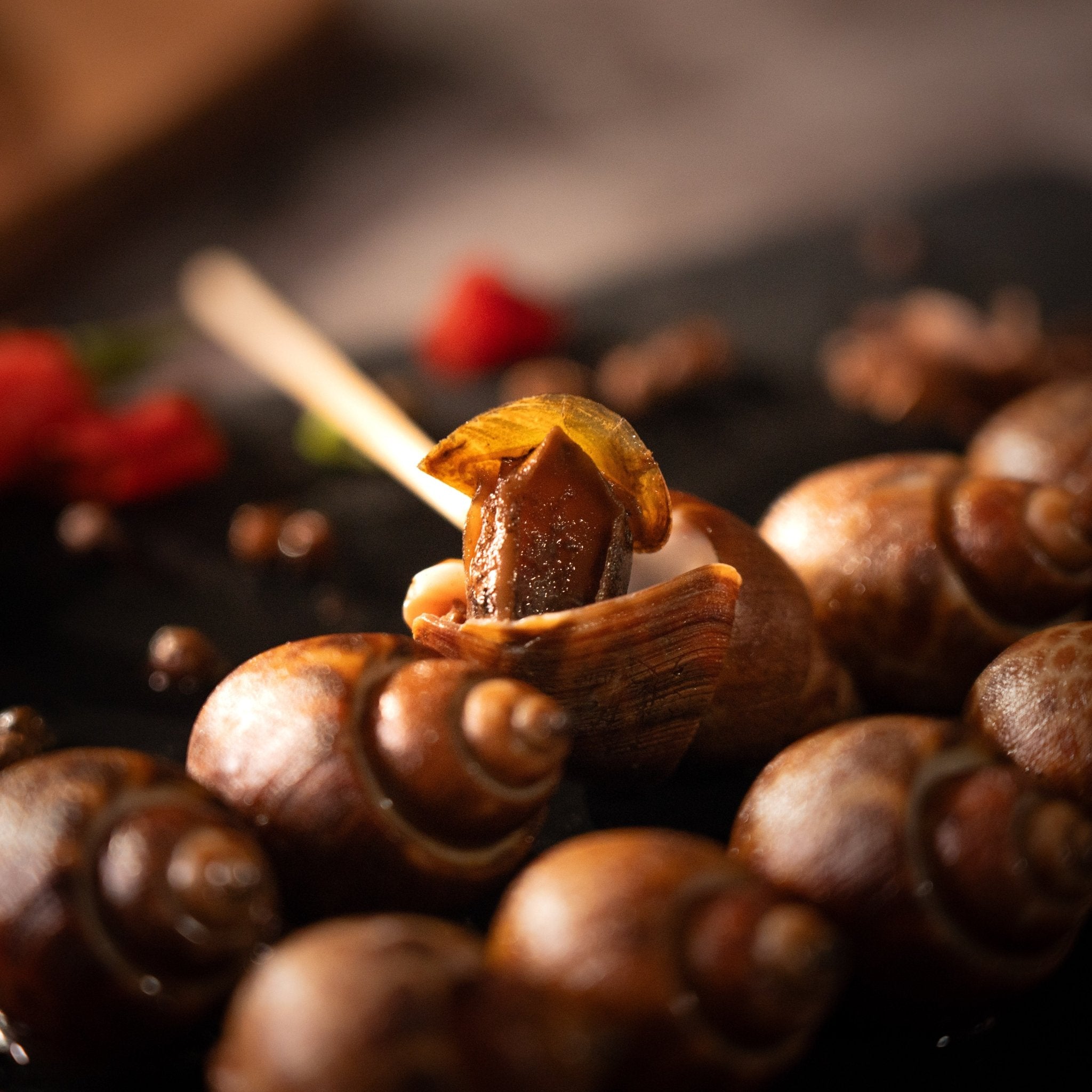 🐚【滷鳳螺】 - 海男